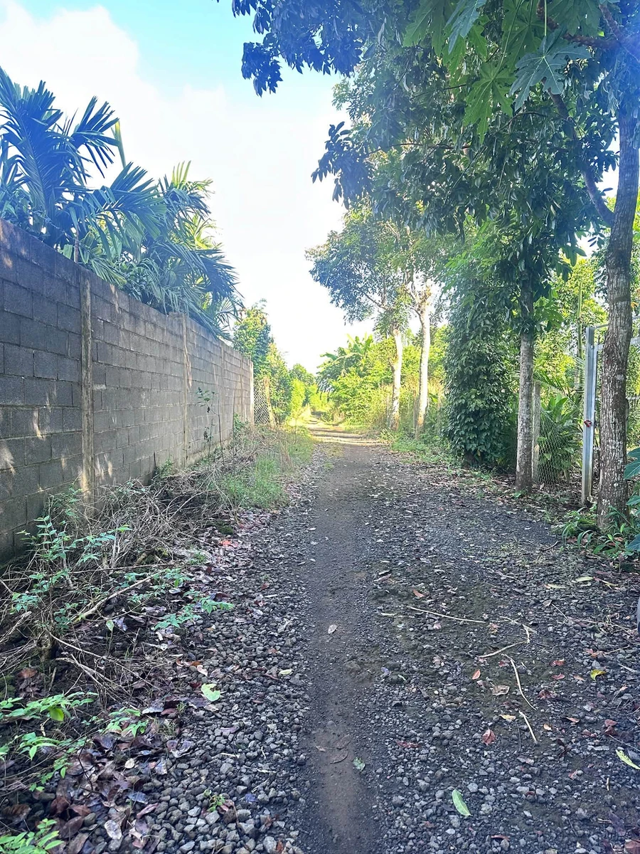 Bán đất nông nghiệp 1000m² sổ hồng riêng Đồng Nai - Ảnh thu nhỏ 4