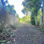 Bán đất nông nghiệp 1000m² sổ hồng riêng Đồng Nai - Ảnh thu nhỏ 4