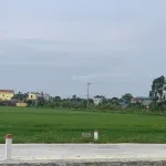 Bán gấp đất thổ cư tại xã Yên Thắng, 2,8 tỷ, 110m2 giá ưu đãi - Ảnh thu nhỏ 5