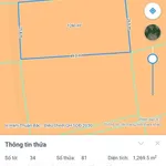 Bán mảnh vườn 1261m² trồng dừa Hàm Thuận, Lâm Đồng 5xx triệu - Ảnh thu nhỏ 1