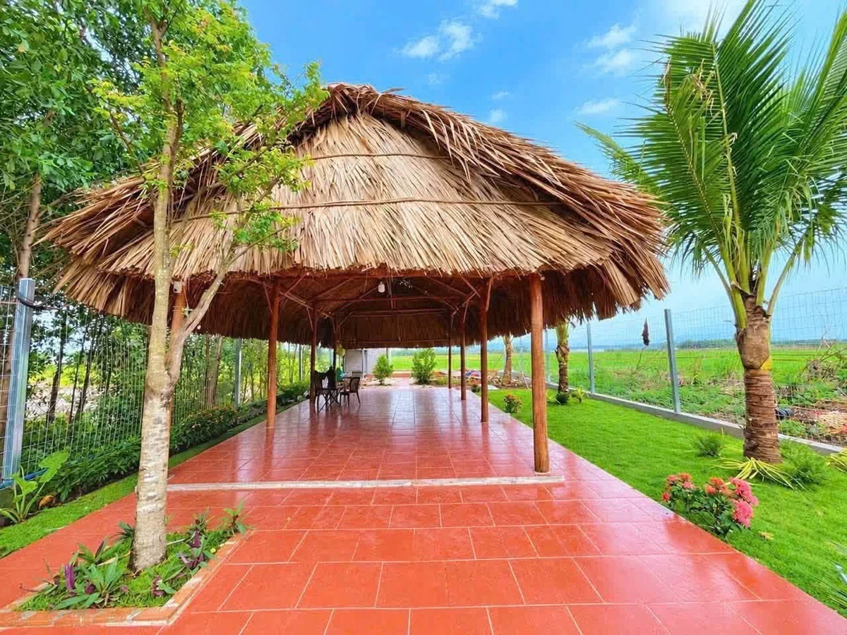 Bán đất 365m² mặt tiền TL52 Đất Đỏ, Bà Rịa - Vũng Tàu - Ảnh thu nhỏ 2