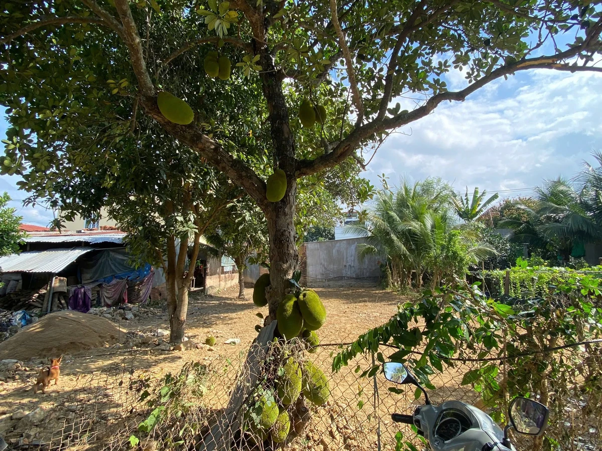 Bán đất làm nhà vườn 270,8m² ngang 9,47m giá 2,95 tỷ tại Diên Khánh, Khánh Hòa - Ảnh thu nhỏ 5