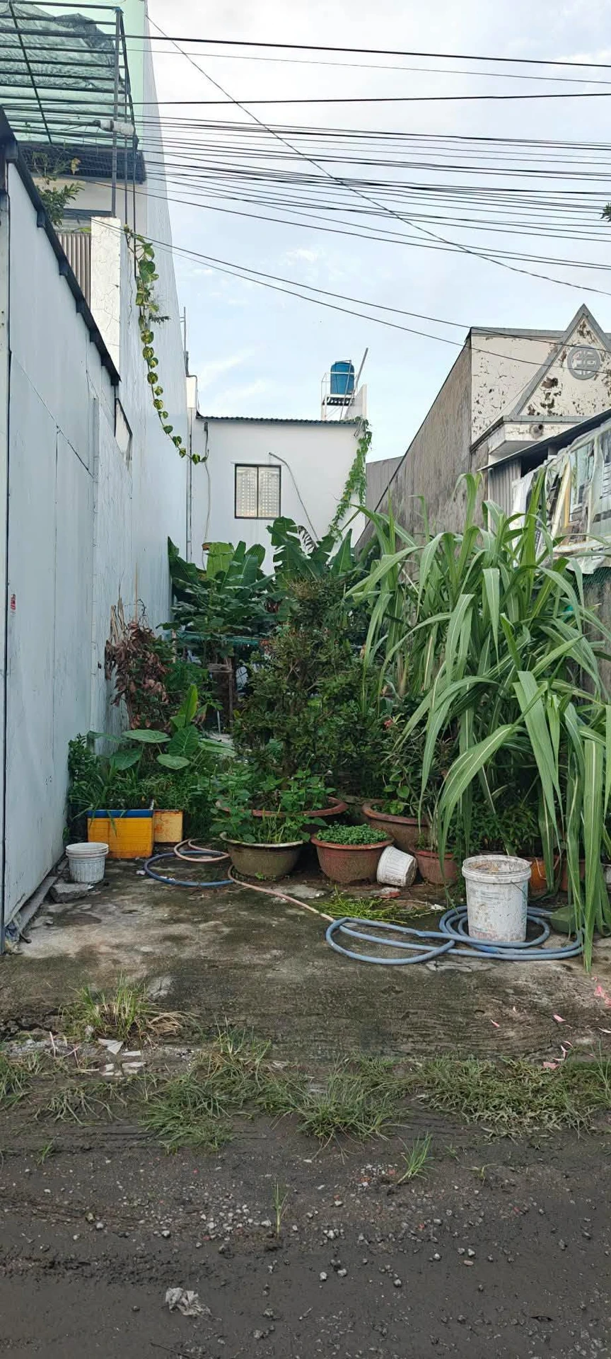 Bán đất 76.5m² đường Ngô Sĩ Liên An Hoà, Rạch Giá - Ảnh 1