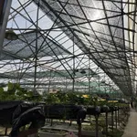 Bán đất mặt tiền 600m2 Ngô Tất Tố, Đà Lạt - Ảnh thu nhỏ 3