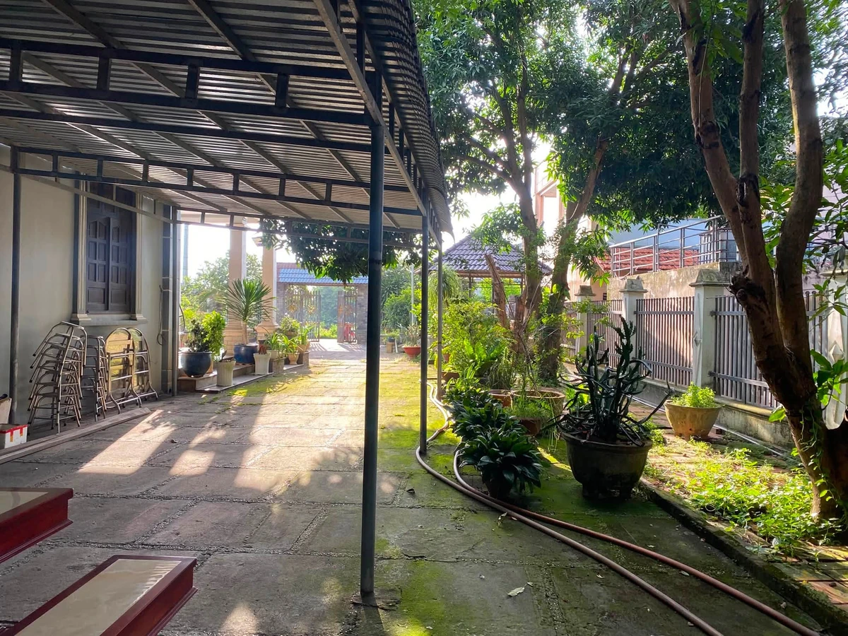 Bán đất tặng nhà vườn 2.582m² Phước Hải Bà Rịa - Vũng Tàu - Ảnh thu nhỏ 4