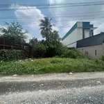 Bán đất thổ cư 6x10m giá 379 triệu gần chùa Tòa Thánh, Ninh Thạnh, Tây Ninh - Ảnh thu nhỏ 2