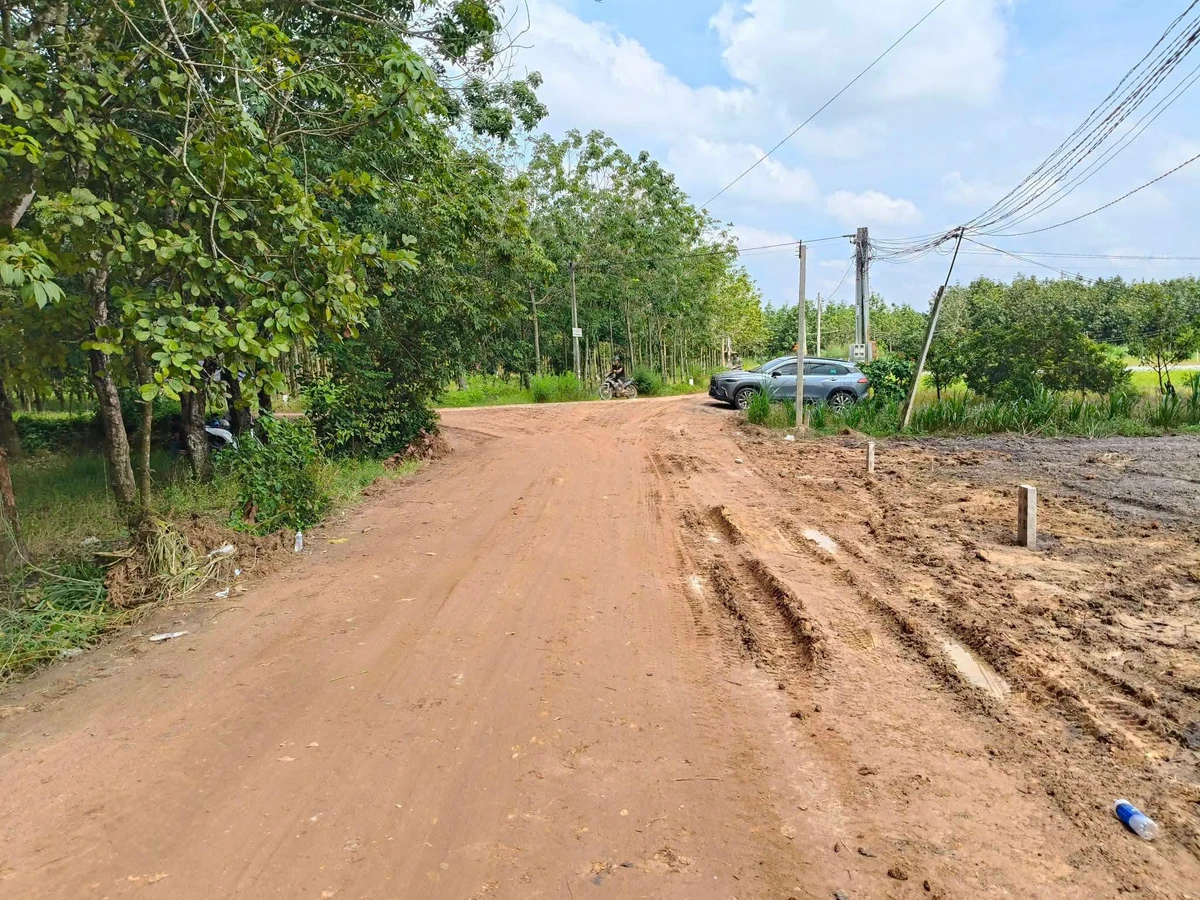 Bán đất Tân Phú 129 triệu - Ảnh thu nhỏ 4