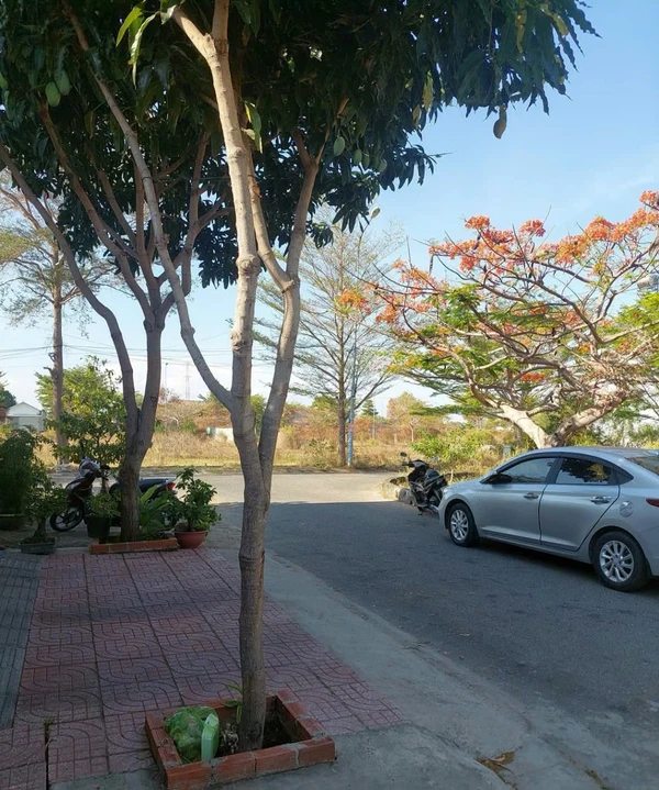 Bán đất 100m² full thổ cư Sông Cây Khế, Vũng Tàu, 2,5 tỷ