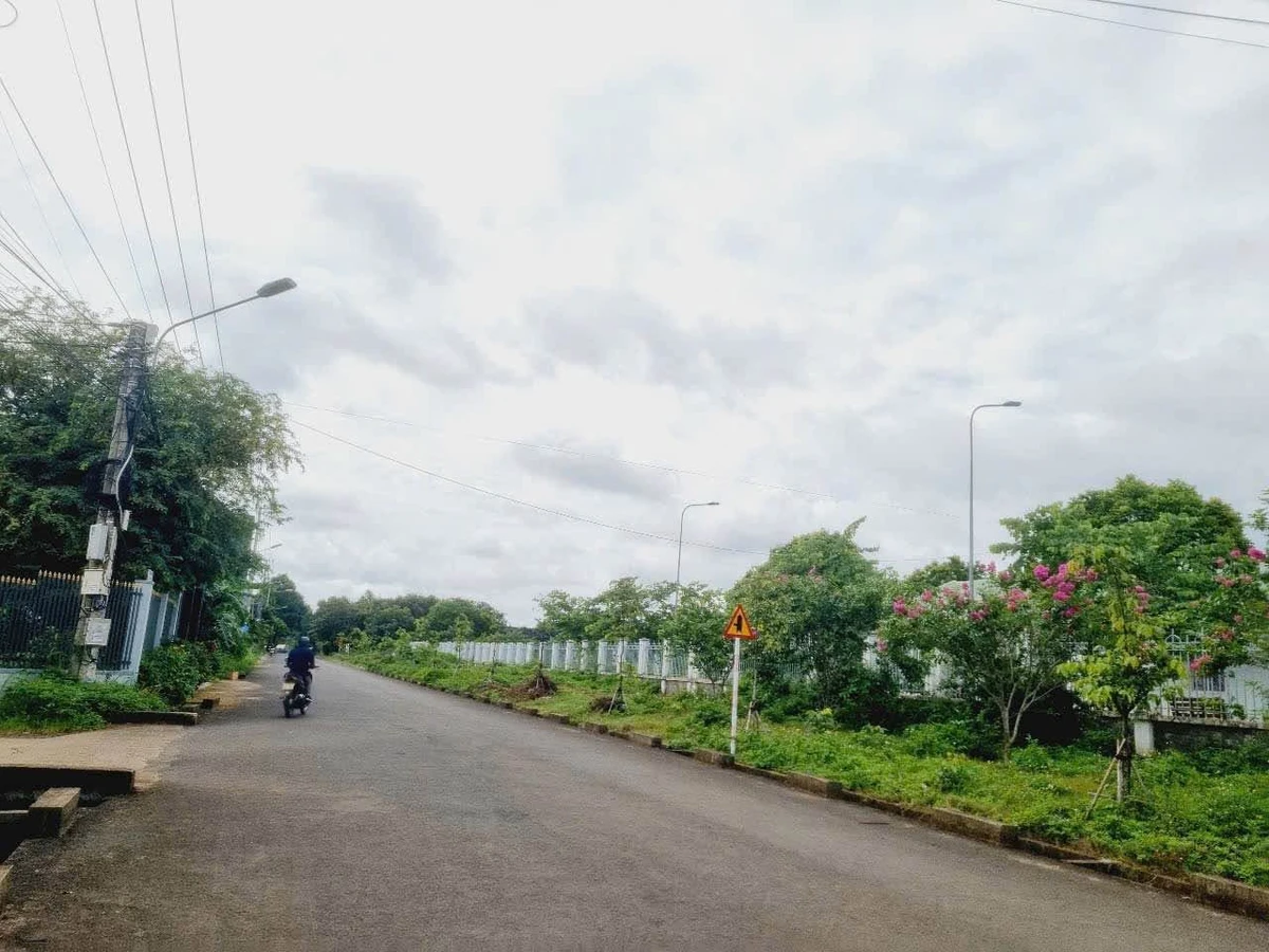 Bán lô đất mặt tiền 235m² Triệu Quang Phục, Buôn Ma Thuột - Ảnh thu nhỏ 2