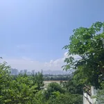 Bán đất hẻm Ngo Đến 48m² giá 369 triệu - Ảnh thu nhỏ 2