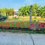 Bán đất nền 393m² mặt tiền Bình Đại, Bến Tre 350 triệu - Ảnh thu nhỏ 2
