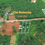 Bán đất Di Linh Lâm Đồng 75m² mặt tiền nhựa 435 triệu - Ảnh thu nhỏ 1