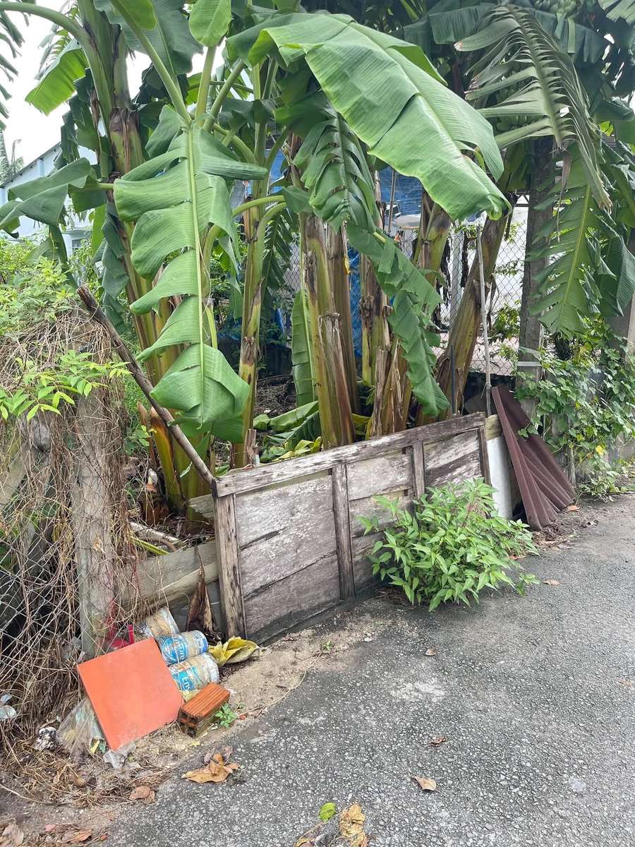 Bán đất mặt tiền Hòa Lợi Hóc Môn 143,7m² giá 1 tỷ 5 - Ảnh thu nhỏ 5