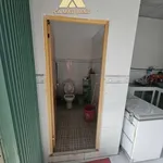 Bán nhà cấp 4 150m² Khu Hoàng Tâm Cà Mau 1 tỷ - Ảnh thu nhỏ 4