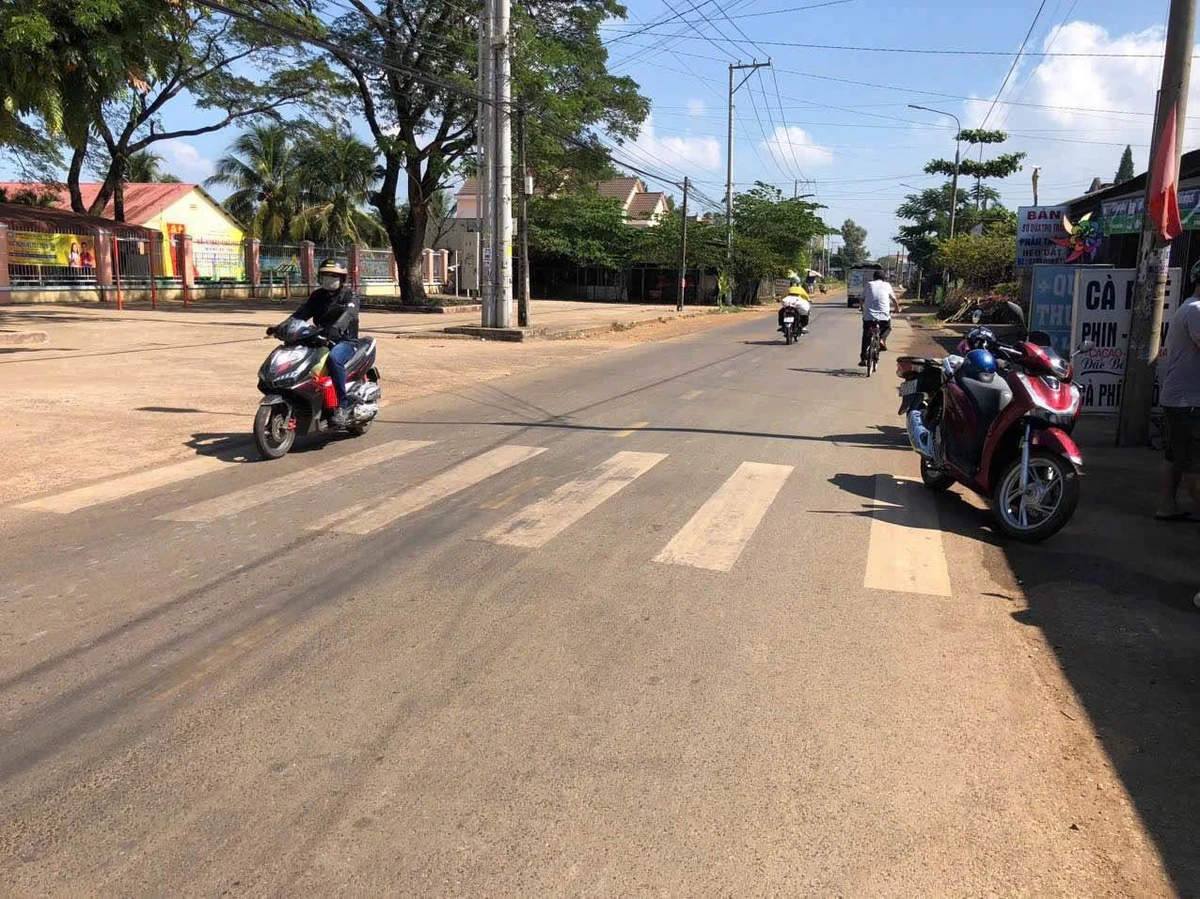 Bán đất thổ cư và đất nông nghiệp giáp ranh Long Khánh, Đồng Nai giá 430 triệu - Ảnh thu nhỏ 2