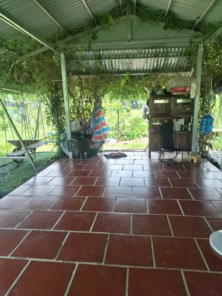 Bán nhà vườn 1000m² xã Long Thuận Tây Ninh - Ảnh 1