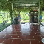 Bán nhà vườn 1000m² xã Long Thuận Tây Ninh - Ảnh thu nhỏ 1