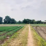 Bán đất nông nghiệp 1.353m² tại Hóc Môn, 45 triệu/m² - Ảnh thu nhỏ 2