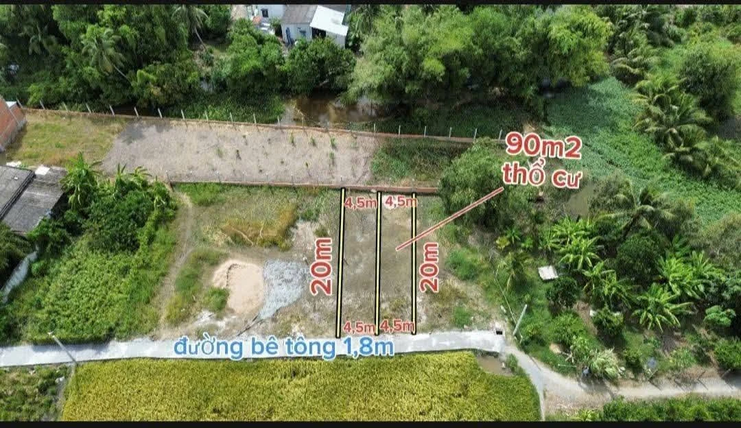 Bán đất nền 90m2 giá 380 triệu/lô tại xã Mỹ Lệ, Cần Đước, Long An - Ảnh 1
