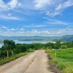 Bán đất sầu riêng Phúc Thọ 1.000m² 950 triệu - Ảnh thu nhỏ 3