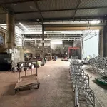Bán xưởng 731,8 m² Trảng Dài Biên Hòa giá 4 tỷ - Ảnh thu nhỏ 1