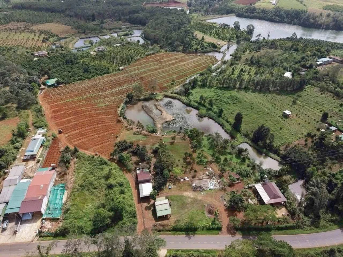 Bán rẫy 1,9 ha Lâm Đồng giá 4,4 tỷ - Ảnh thu nhỏ 3