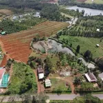 Bán rẫy 1,9 ha Lâm Đồng giá 4,4 tỷ - Ảnh thu nhỏ 3