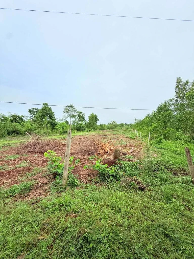 Bán đất mặt tiền 2.200m² Xuân Lộc, Đồng Nai 1,5 tỷ - Ảnh thu nhỏ 5