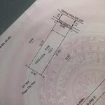 Bán đất 129m² mặt tiền ĐX147 Phường Chánh Hiệp, Bình Chánh - Ảnh thu nhỏ 2