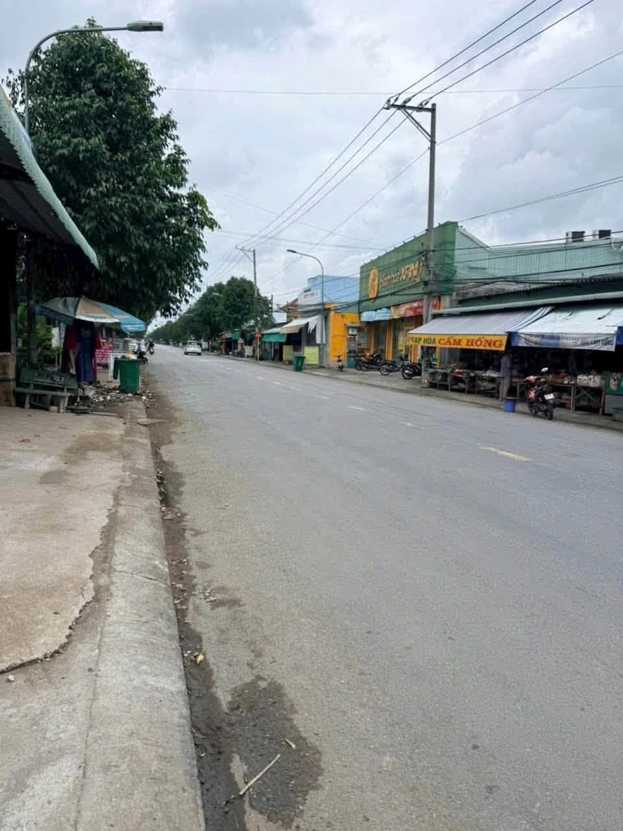 Bán đất mặt tiền Tỉnh lộ 209m², 3,6 tỷ, Tây Ninh - Ảnh 1