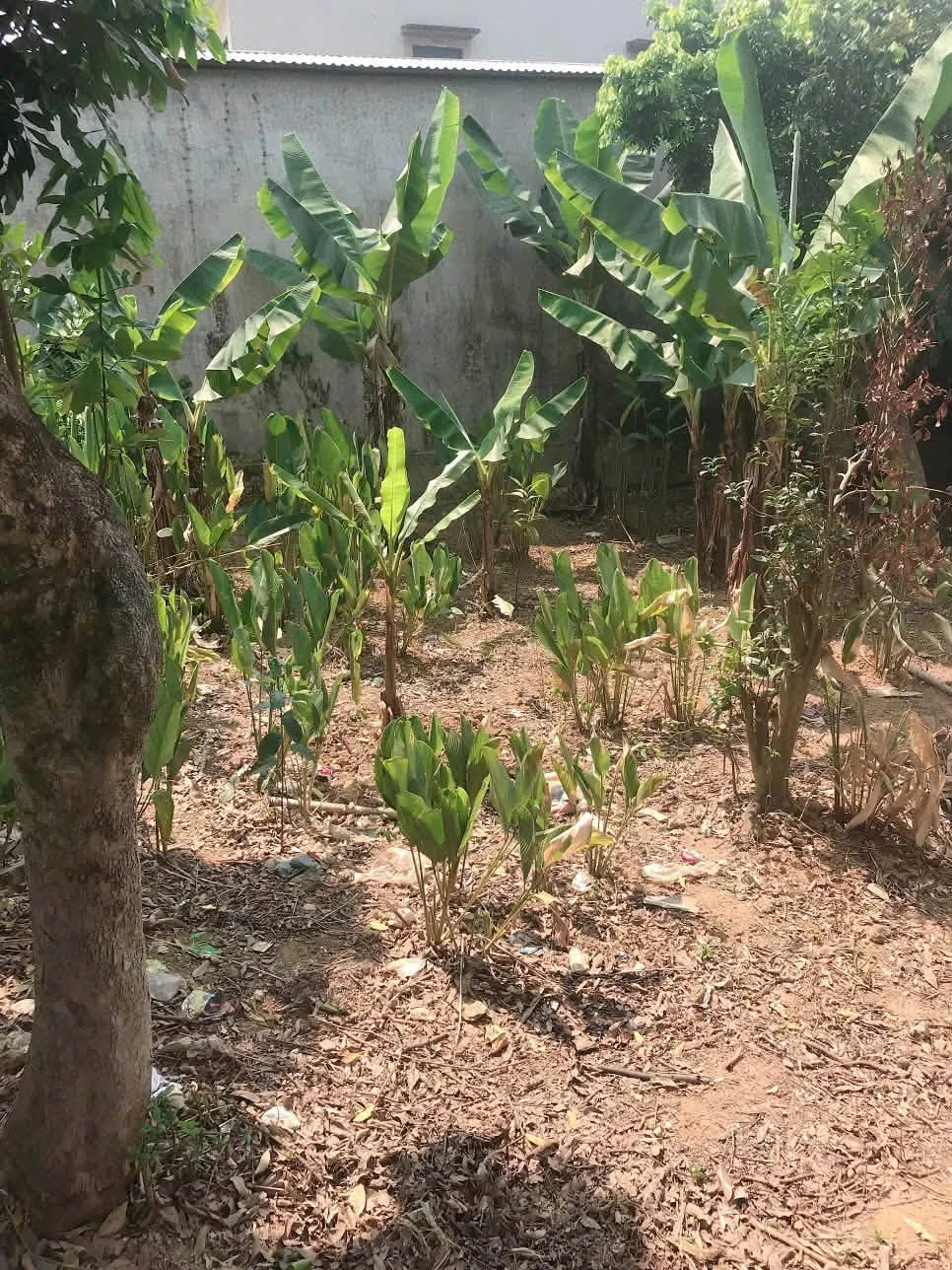 Bán lô đất Him Lam 1 Điện Biên 299m² mặt tiền 10.47m giá 1.36 tỷ - Ảnh 1