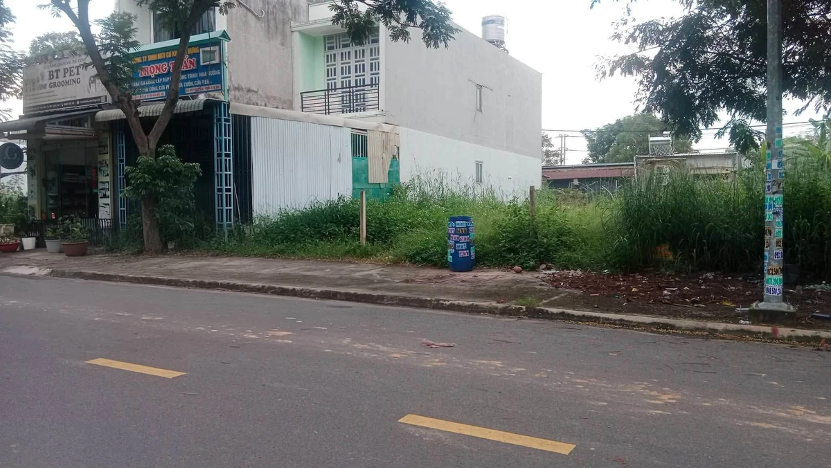 Bán đất 100m² đường X2B Tân Bình, giá 1 tỷ 5 - Ảnh thu nhỏ 4
