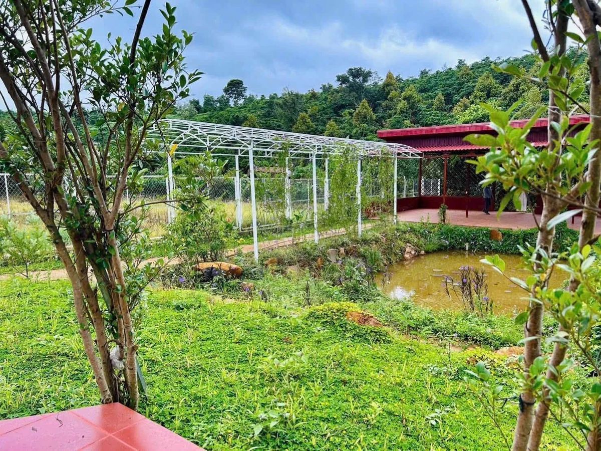 Bán đất mặt tiền Phùng Hưng Bảo Lộc 1000m2 - 3.5 tỷ - Ảnh thu nhỏ 2