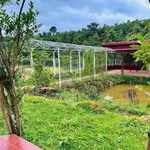 Bán đất mặt tiền Phùng Hưng Bảo Lộc 1000m2 - 3.5 tỷ - Ảnh thu nhỏ 2