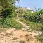 Bán nhà 300m thổ cư Hàm Chính 550 triệu - Ảnh thu nhỏ 3