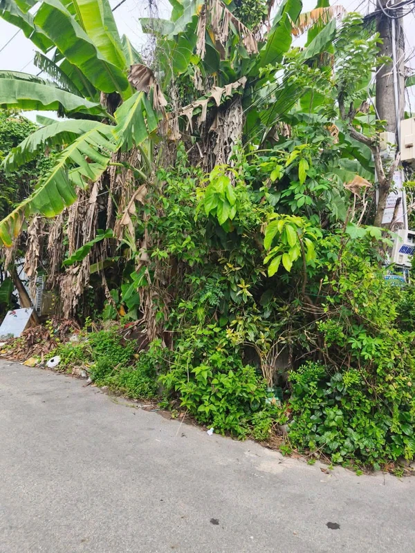 Bán đất mặt tiền La Sơn Phu Tử 95m² Rạch Giá 1 tỷ 299 triệu