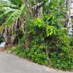 Bán đất mặt tiền La Sơn Phu Tử 95m² Rạch Giá 1 tỷ 299 triệu - Ảnh thu nhỏ 1