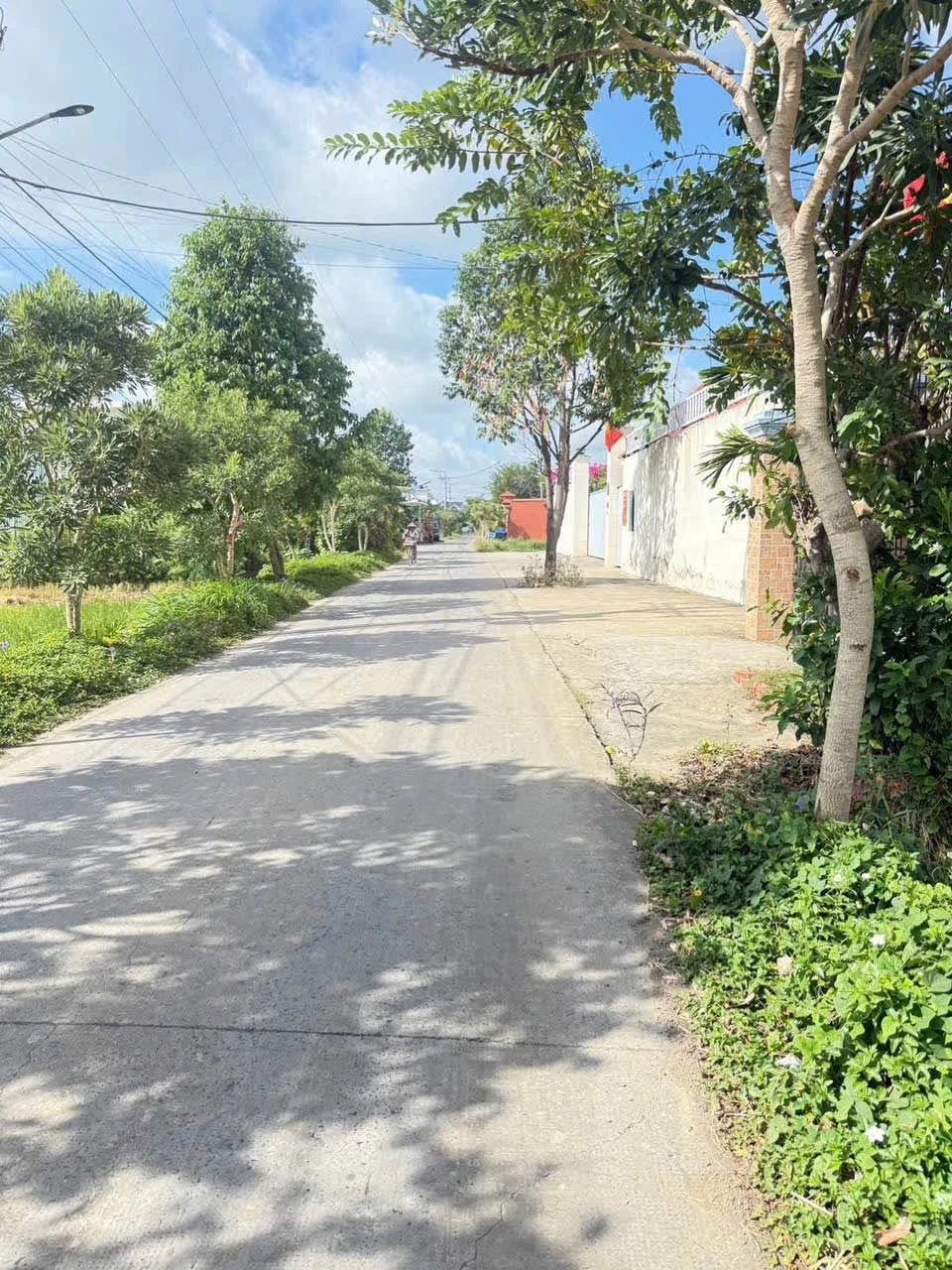 Bán 780m2 đất Bến Lức Long An, 5,3 tỷ - Ảnh 1