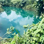 Bán đất vườn 2,1 ha trồng cà phê Tuy Đức 4,5 tỷ - Ảnh thu nhỏ 1