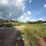 Bán đất 10 hecta Tân Phú Ninh Gia 350 triệu - Ảnh thu nhỏ 4
