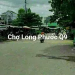 Bán 2 lô đất full thổ cư Cần Giờ 400m² và 270m² - Ảnh thu nhỏ 1