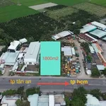 Bán đất mặt tiền 1800m² Bình Thạnh Thủ Thừa - Ảnh thu nhỏ 2