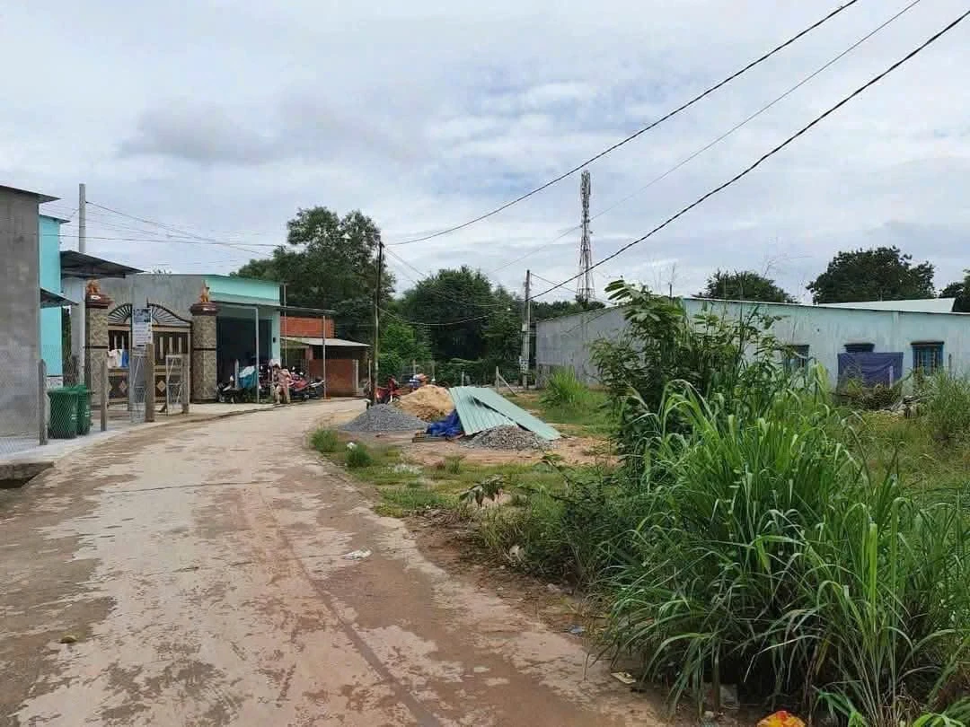 Bán đất An Tây, Bến Cát 100 m2 - Ảnh thu nhỏ 4