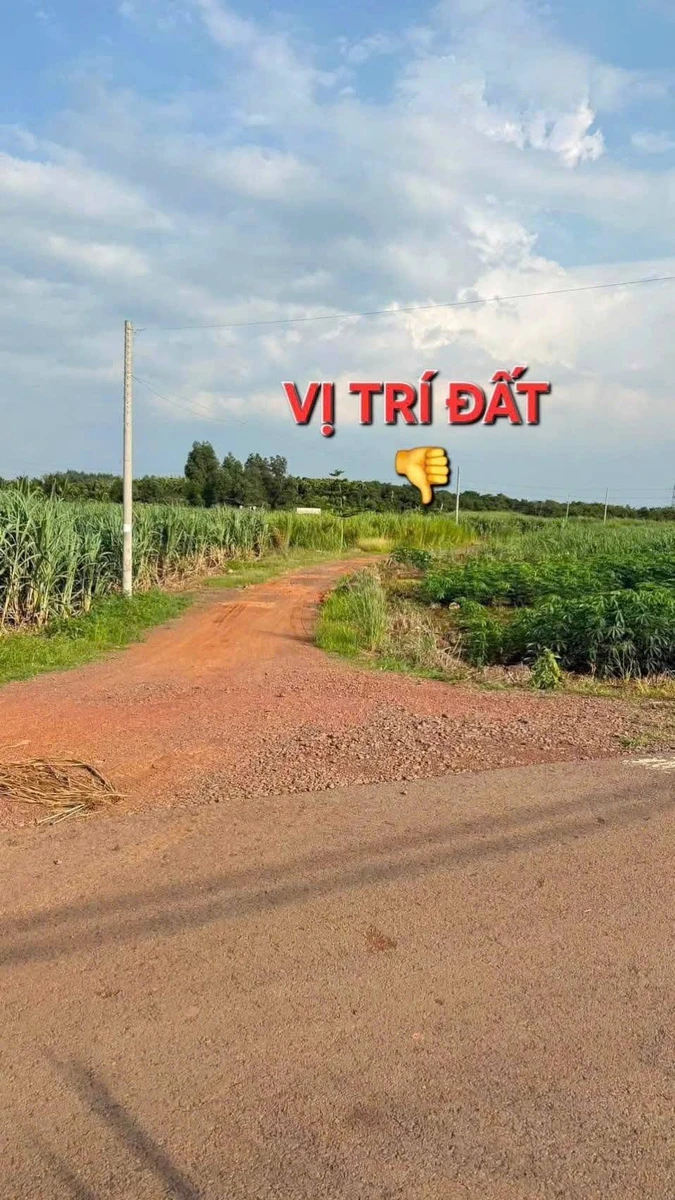 Bán 1 sào đất Hưng Thịnh Đồng Nai 1000m² chỉ 490 triệu - Ảnh 1