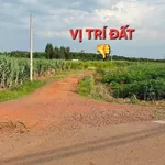 Bán 1 sào đất Hưng Thịnh Đồng Nai 1000m² chỉ 490 triệu - Ảnh thu nhỏ 1