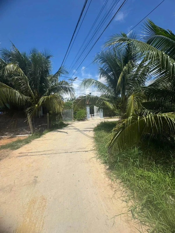 Bán đất full thổ cư 173.3m² Ninh Hòa, Khánh Hòa 499 triệu