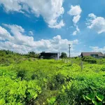 Bán đất nền 184m² mặt tiền Nhà Bè 700 triệu - Ảnh thu nhỏ 2