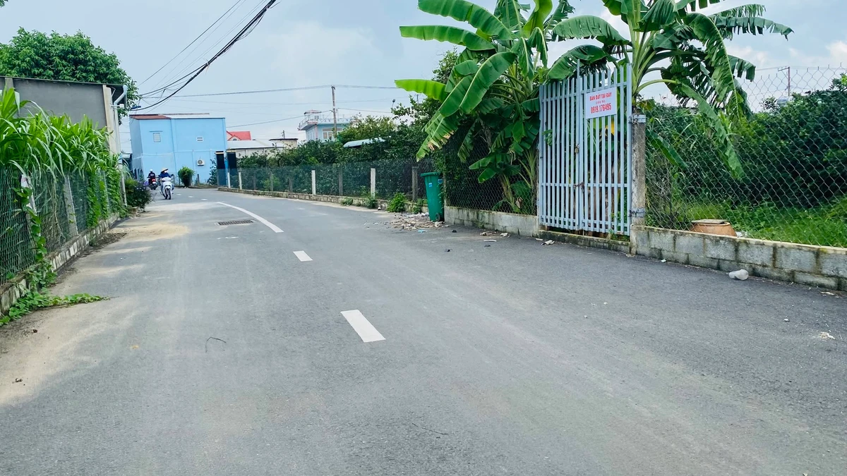 Bán đất 160m2 gần Ngã Tư Tân Triều 1 tỷ 3 - Ảnh thu nhỏ 2