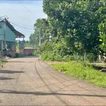 Bán đất vườn 1000m² tại Đồng Nai, gần KCN Becamex - Ảnh thu nhỏ 1