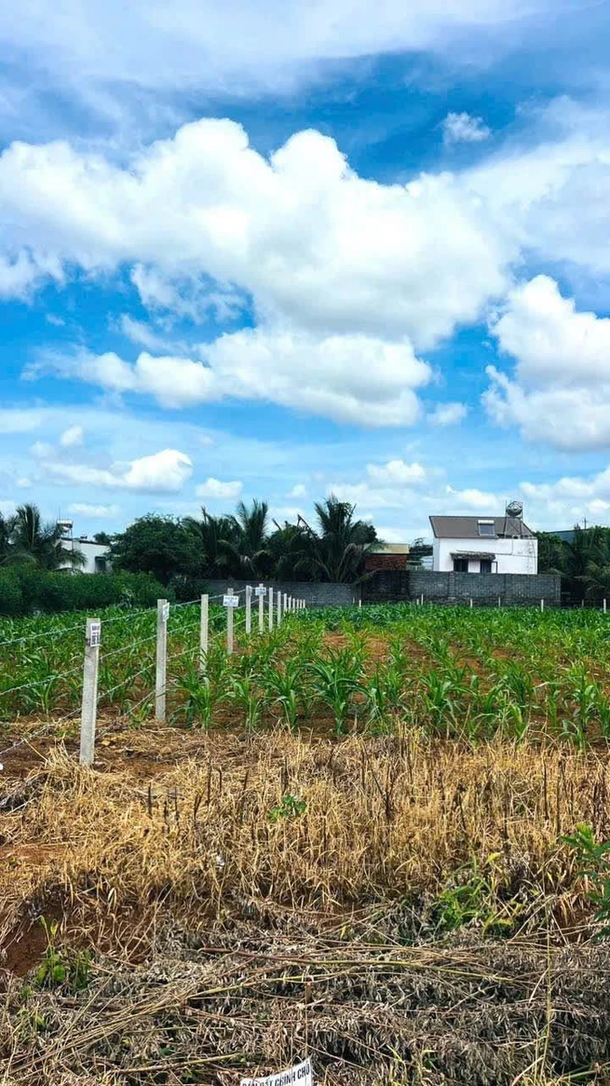 Bán lô đất 450m² Bà Rịa - Vũng Tàu 1 tỷ 850 triệu - Ảnh thu nhỏ 3
